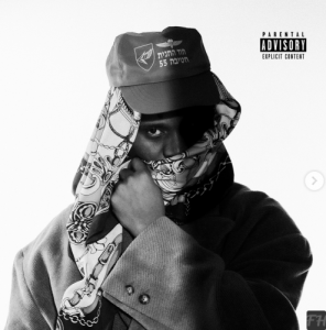Ginger Trill Because I Said So Album Download