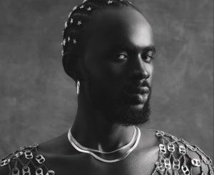 Black Sherif – Iron Boy Album