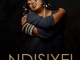 Feli Nandi Ndisiyei Album Download