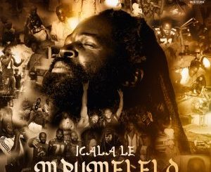 Icala Le Mpumelelo - Album by Big Zulu - Apple Music