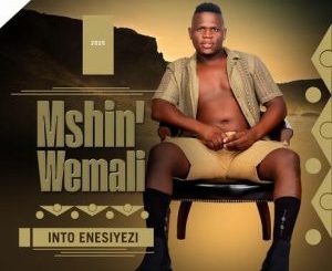 Mshinwemali - Into Enesiyezi MP3 Download & Lyrics | Boomplay