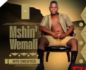 Mshinwemali - Into Enesiyezi MP3 Download & Lyrics | Boomplay