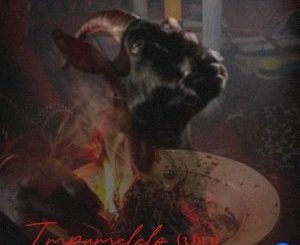 IMPUMELELO (3 IN 1) EP
