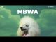 D Voice - Mbwa (Official Lyric Audio)