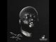 Turning Pain Into Music - Album by UMngomezulu - Apple Music