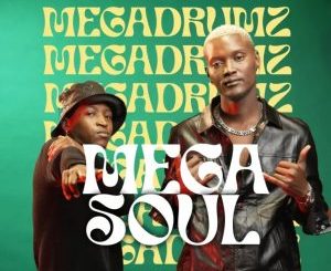 Megadrumz Mega Soul Album Download
