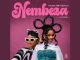 Nembeza